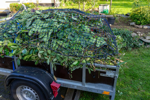 Best Residential Junk Removal  in Frazee, MN